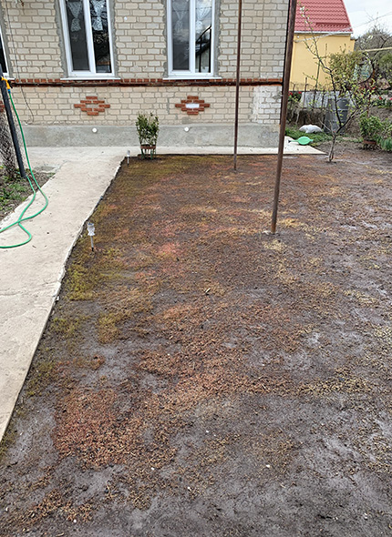 Before